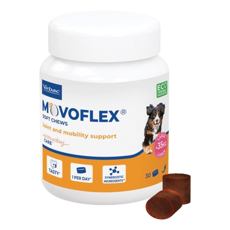 Movoflex L – 30 comprimés à croquer