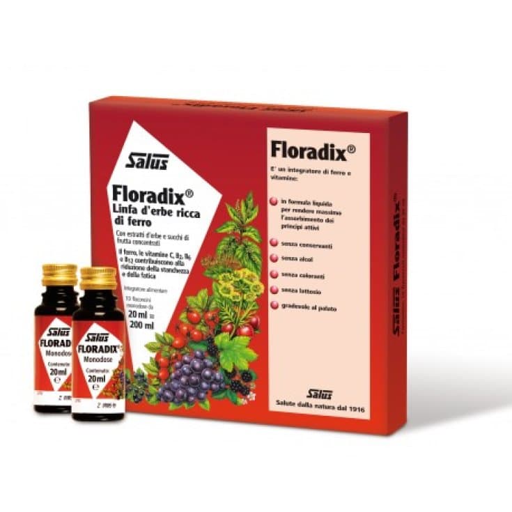Floradix-Ferro – 10 flacons de 20 ml