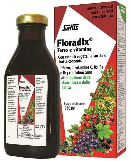 Floradix-Integ Ferro – 250 ml