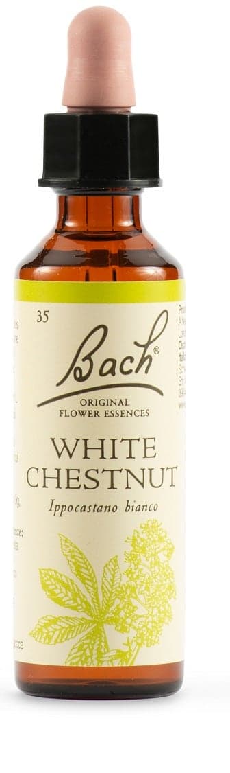 Marron d'Inde – 20 ml | White Chest Bach Original