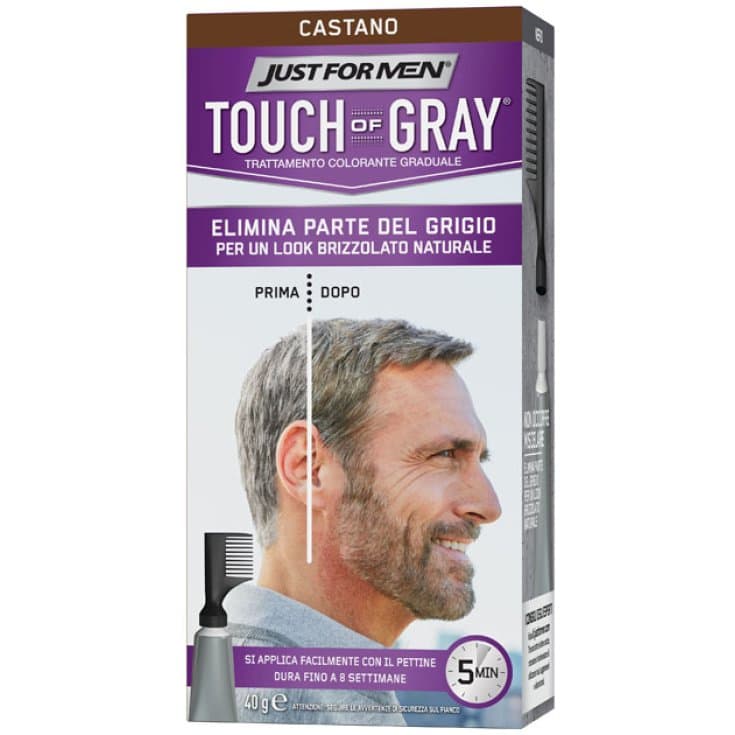 Touch of Gray – Coloration cheveux noir