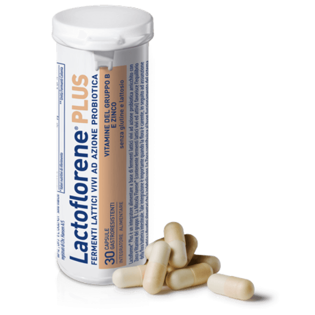 Probiotiques (ferments lactiques) + Zinc – 30 gélules | Lactoflorene Plus