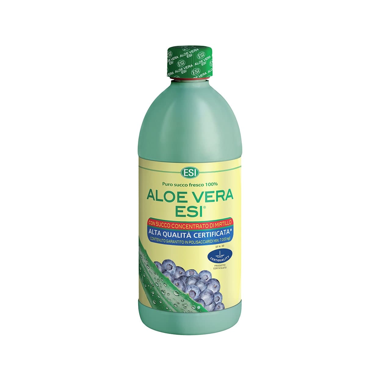 Aloe Vera Saft mit Heidelbeere – 1000 ml