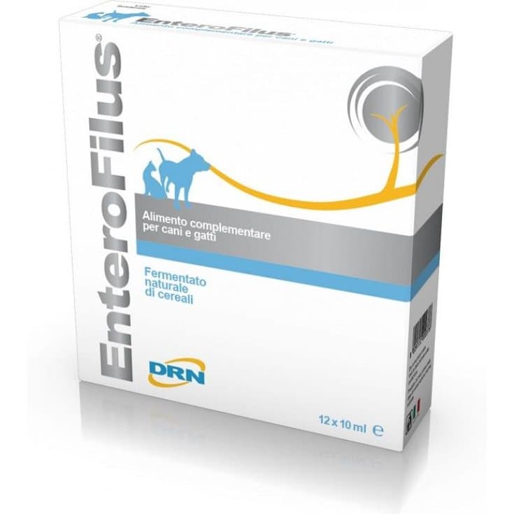 Enterofilus OS – 12 Ampullen à 10 ml