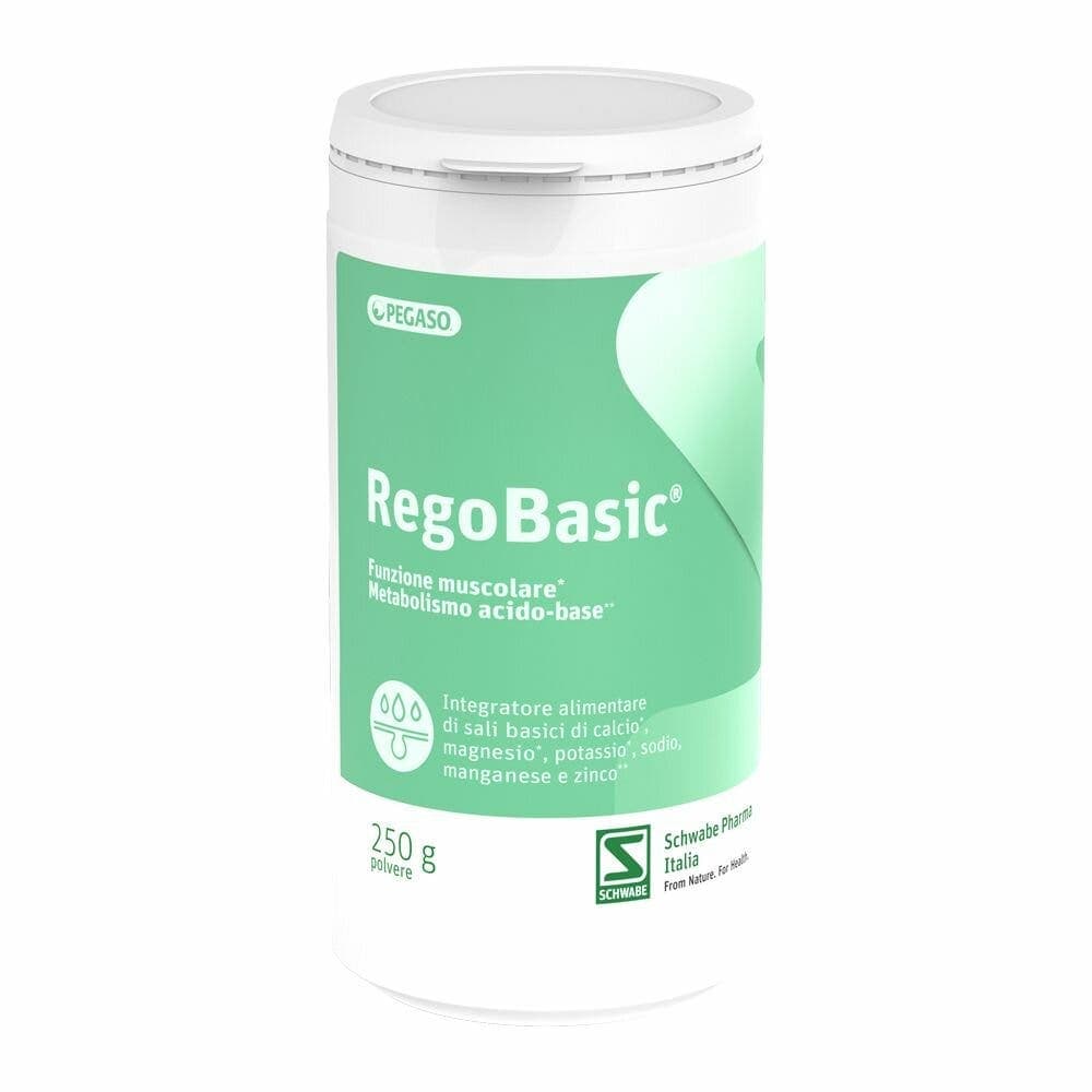 REGOBASIC POLVERE 250G