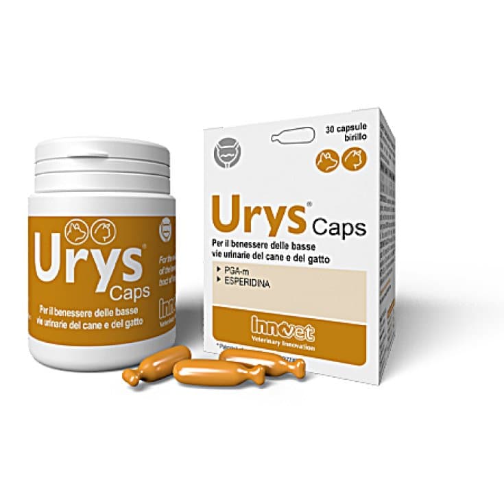 Urys – 30 Kapseln Nahrungsergänzung