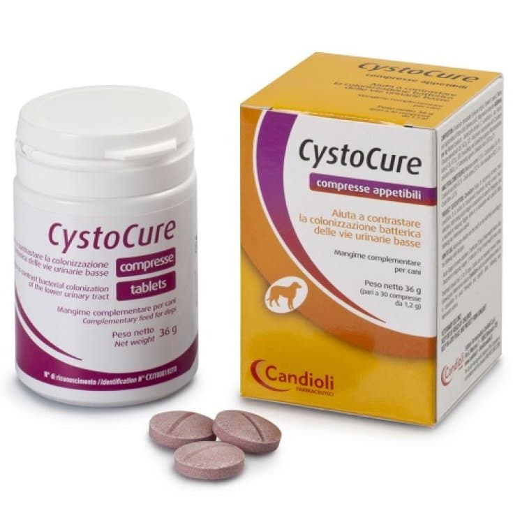 Cystocure Forte – 30 gélules