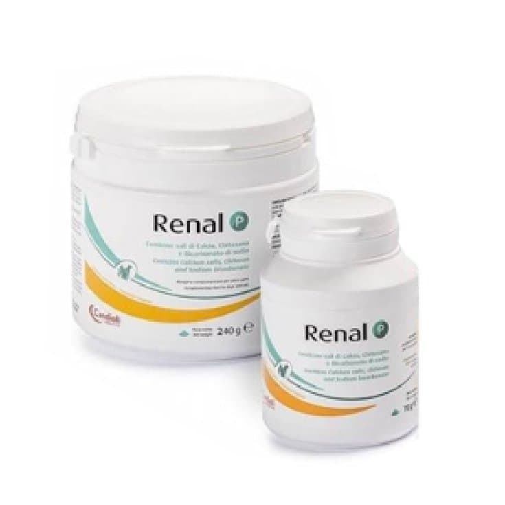 RENAL P – 70 g Poudre pour Chiens & Chats