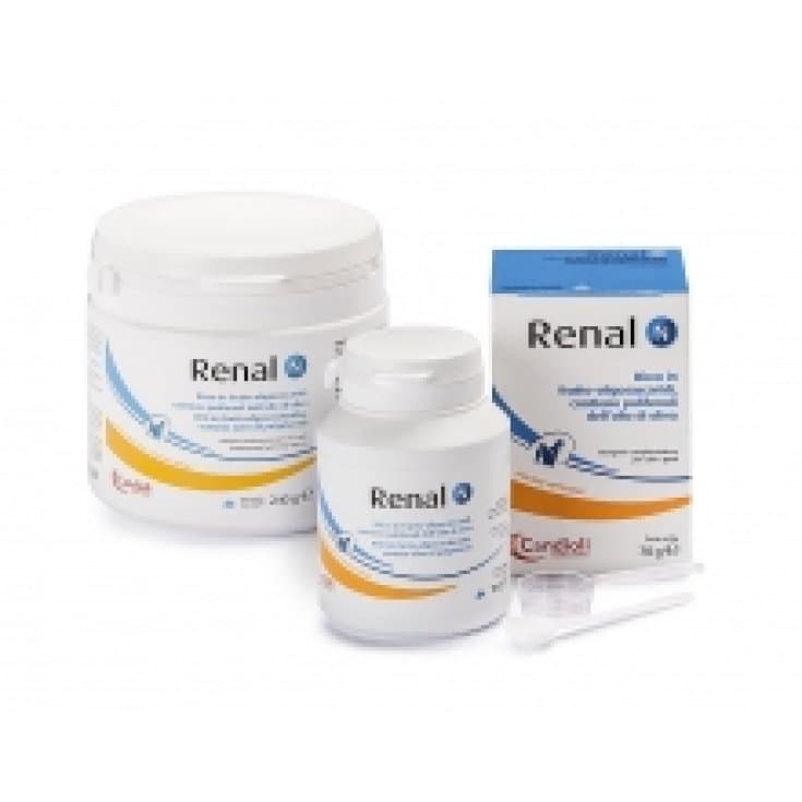 Renal N Poudre – 70 g (Chiens + Chats)