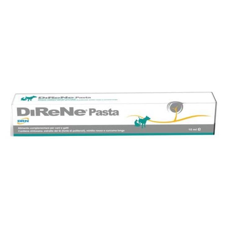Direne Zahncreme – 15 ml