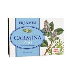 Carmina Plus – 24 Tabletten à 800 mg