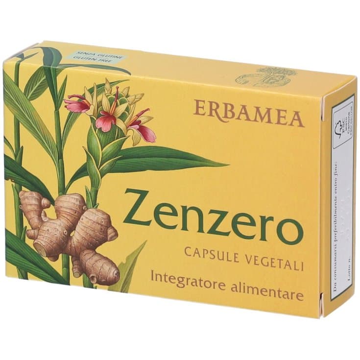 Zenzero ERBAMEA – 24 Kapseln