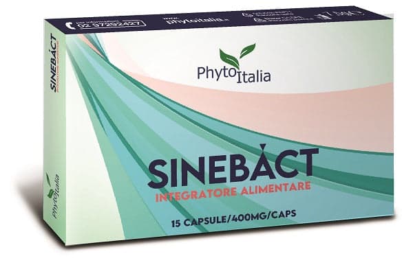 Sinebact – 15 gélules