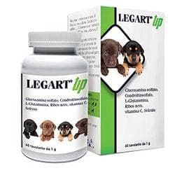 Legart Up – 60 comprimés