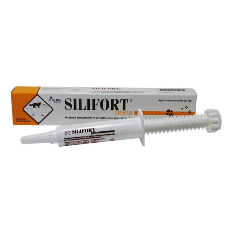 Silifort Pâte Orale – 30 g seringue
