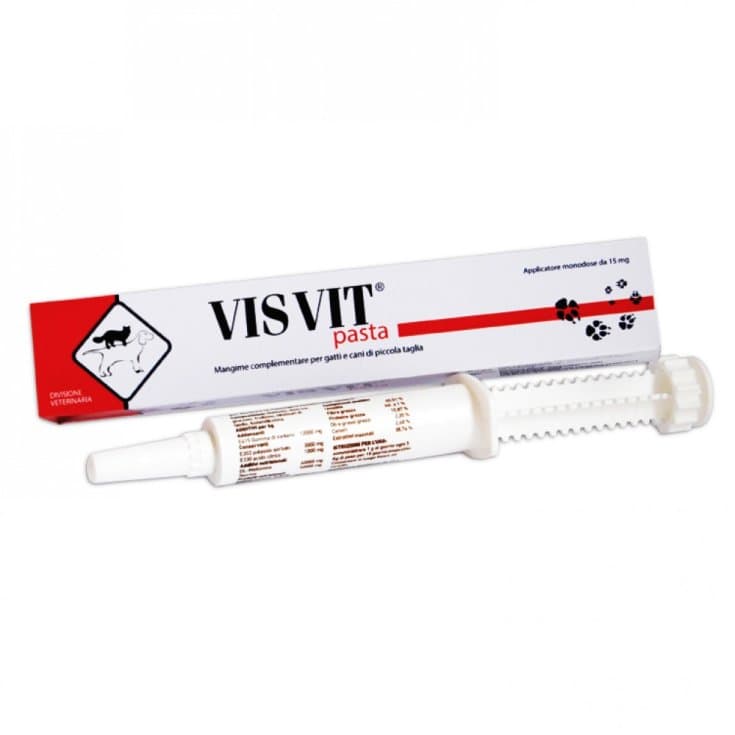 Visvit Pâte – 15 g Seringue