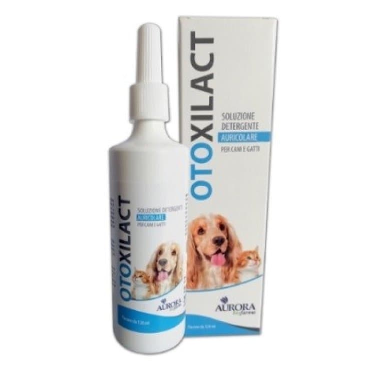 Otoxilact Ohrenreiniger – liquide