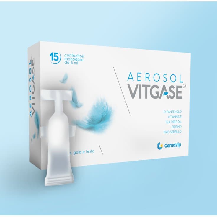 Vitgase Aerosol – 15 flacons de 25 ml