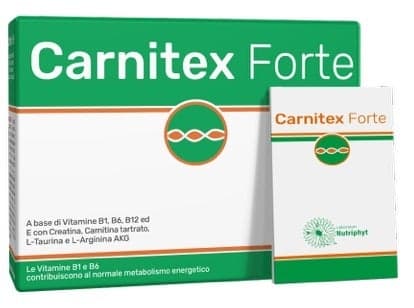 Carnitex Forte – 14 sachets