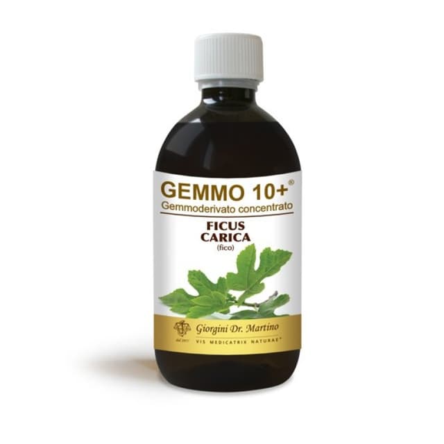 Fico Extrait de Bourgeons – 500 ml sans alcool