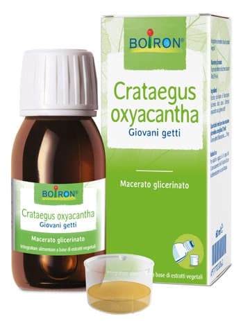 Crataegus Oxy – 60 ml Tropfen