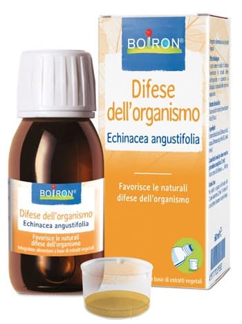 Extrait d'Echinacea Angustifolia – 60 ml Gouttes