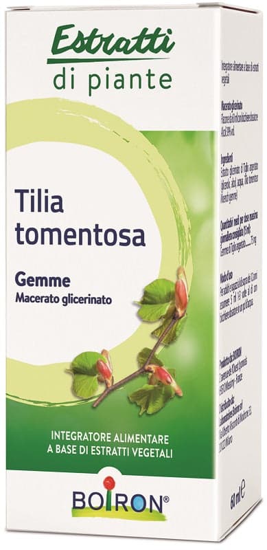 Tilia tomentosa Mutter-Tinktur – 60 ml