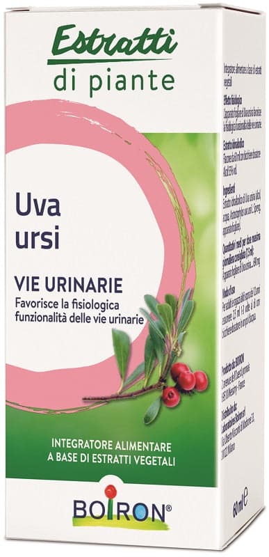 Uva Ursina – 60 ml liquide