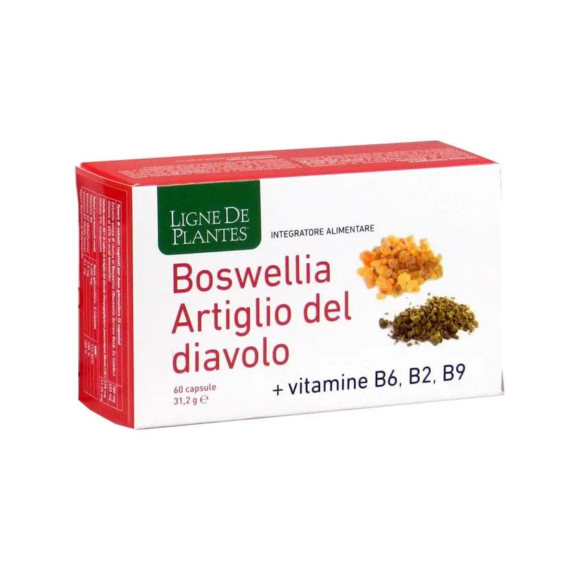 Boswellia + Griffe du Diable – 60 gélules