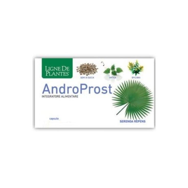 Androprost – 60 gélules