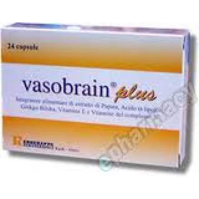 Acide alpha-lipoïque + Ginkgo biloba – 24 gélules | Vasobrain Plus