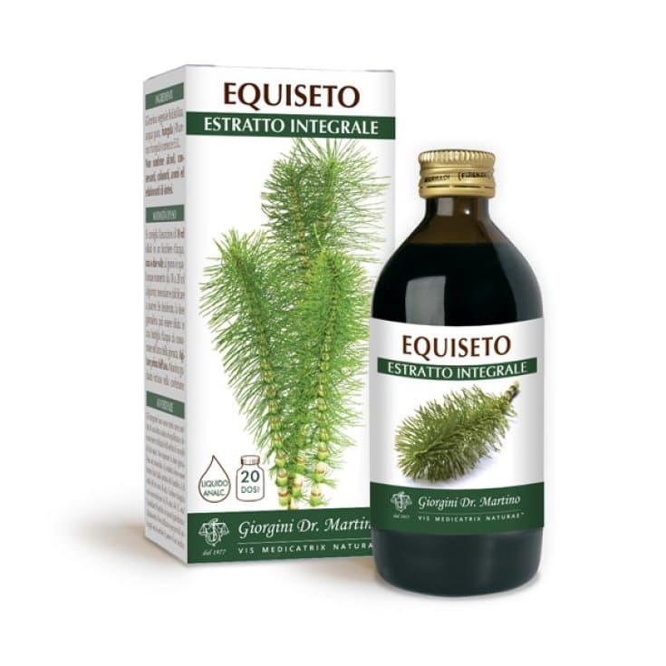 Equiseto Extrakt flüssig – 200 ml