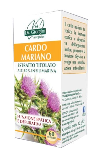 Cardo Mariano – 60 sachets