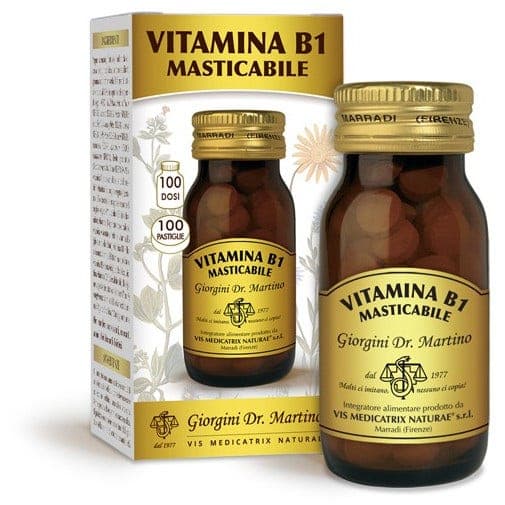Vitamin B1 Mastic – 100 pastilles