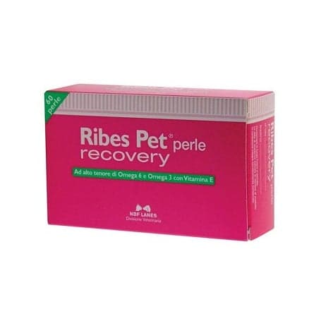 Ribes Pet Recovery – 60 Perles