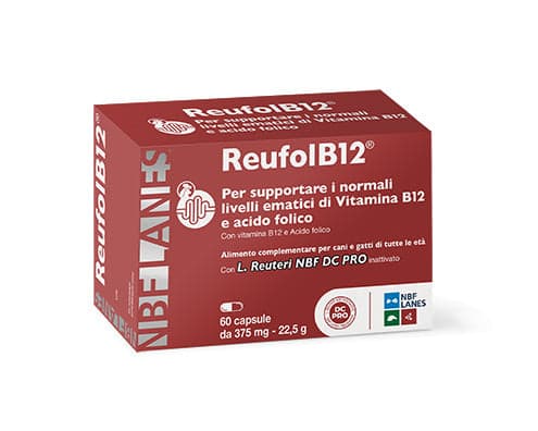 Reufolb12 – 60 gélules