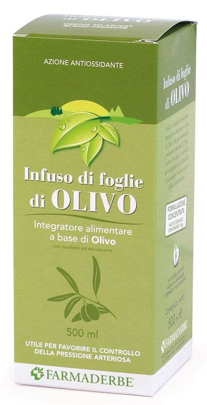 Olivo Infuso Foglie – 500 ml Flasche