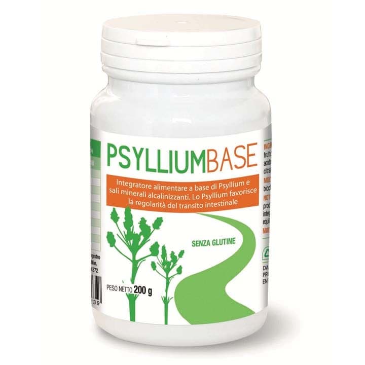 Psyllium Base Poudre – 200 g