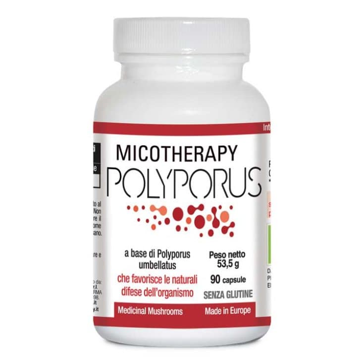 Micotherapy Polyporus – 90 gélules