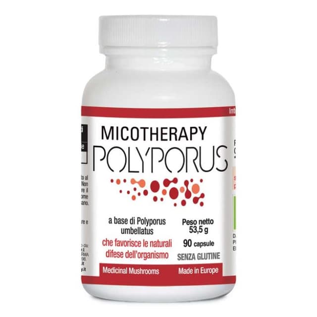 Micotherapy Polyporus – 90 gélules