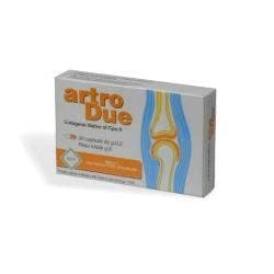 Artrodue-Integ – 30 Kapseln