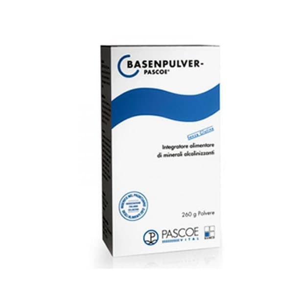 Zinc + Magnésium – 260 g | Basenpulver Pascoe
