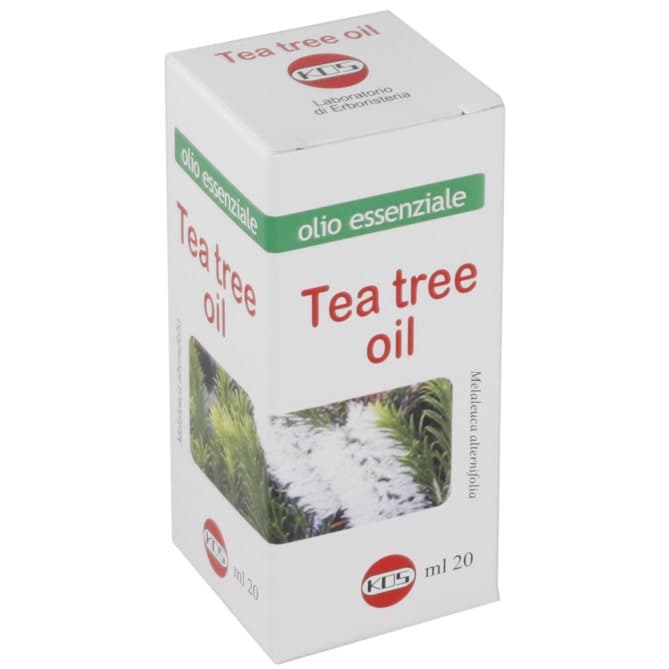 Tea Tree Öl ätherisch Kos – 20 ml