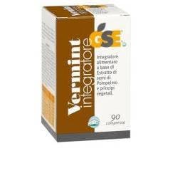 GSE Vermint – 90 Tabletten