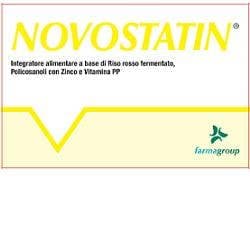 Novostatin – 20 Tabletten