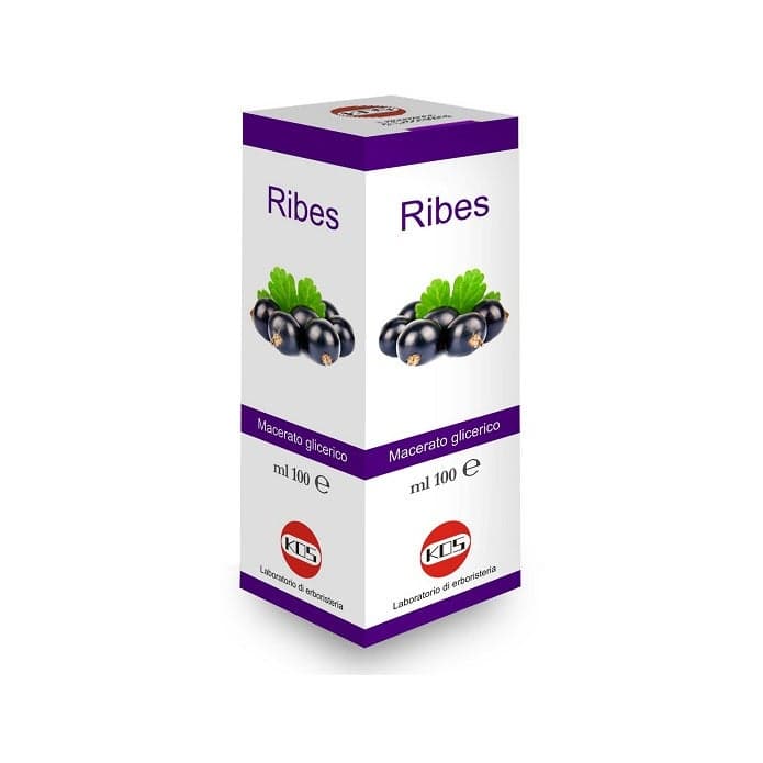 Ribes Nigrum MG – 100 ml gouttes