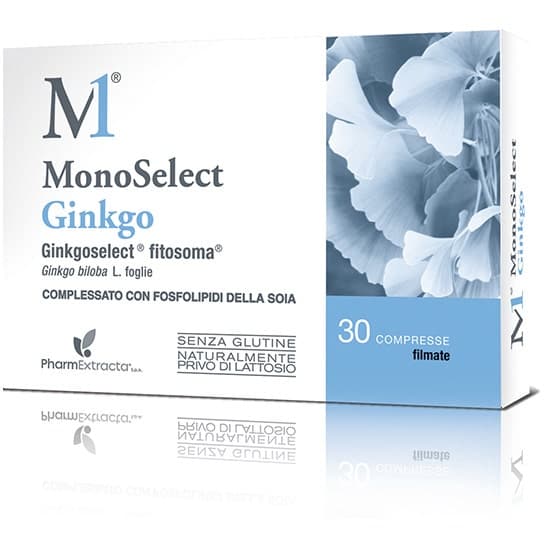 Monoselect Ginkgo – 30 Tabletten