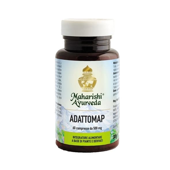 Adattomap – 60 comprimés de 0,5 g
