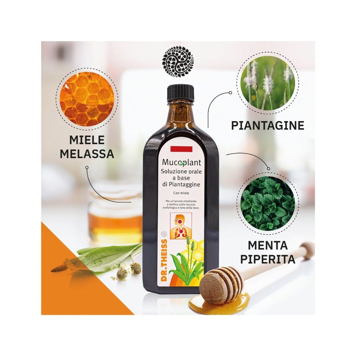 Theiss Plantain Lancéolé – Sirop 250 ml