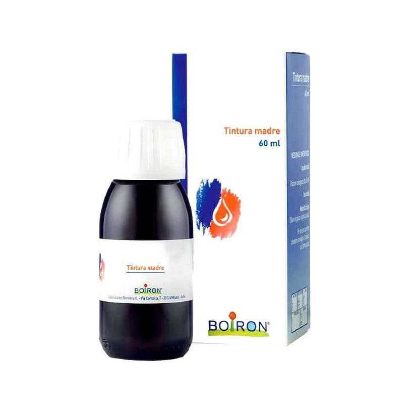 Tilia Tomentosa – 60 ml Tropfen